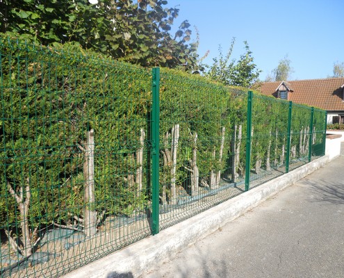 Courtier en travaux : remplacement d'une clôture à Saint-Pryvé-Saint-Mesmin, avec Travaux Tranquil