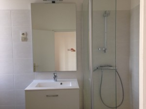 RENOVATION-APPARTEMENT-LOCATION-ORLEANS-SALLE-DE-BAIN-BAIGNOIRE-COURTIER-TRAVAUX-TRANQUIL