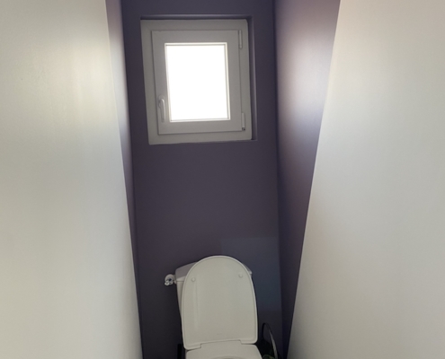 renovation wc peinture carreau ciment courtier travaux tranquil orleans